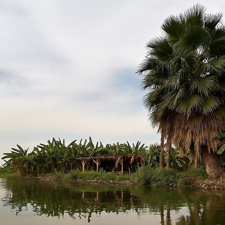 Il Campo Boutique Ecolodge El Hawamdeya Exteriér fotografie